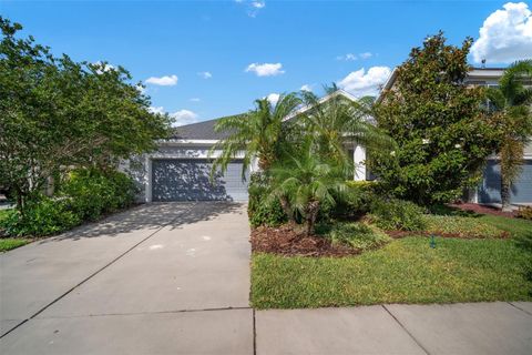 A home in APOLLO BEACH