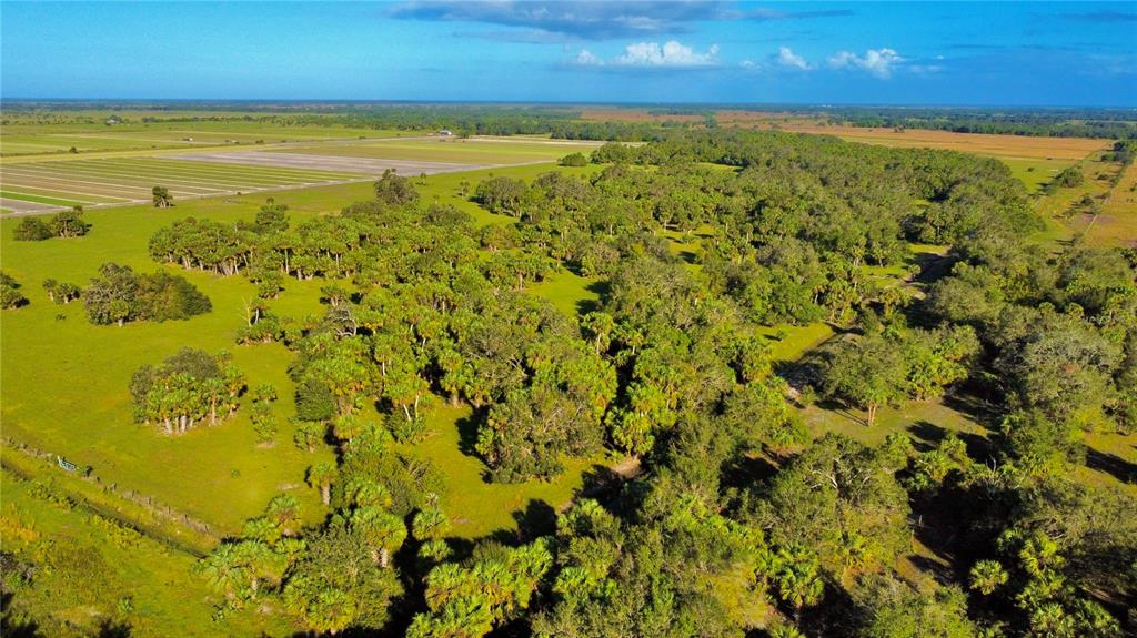 GLADES COUNTY - Farm