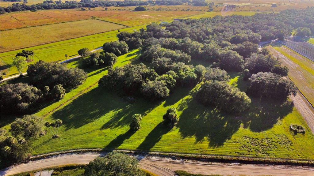 GLADES COUNTY - Farm