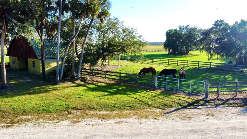 GLADES COUNTY - Farm