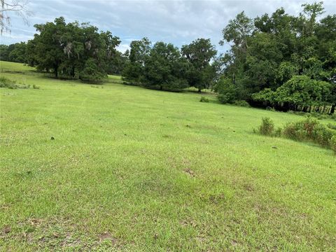 1880 NE 172ND PLACE CITRA FL 32113