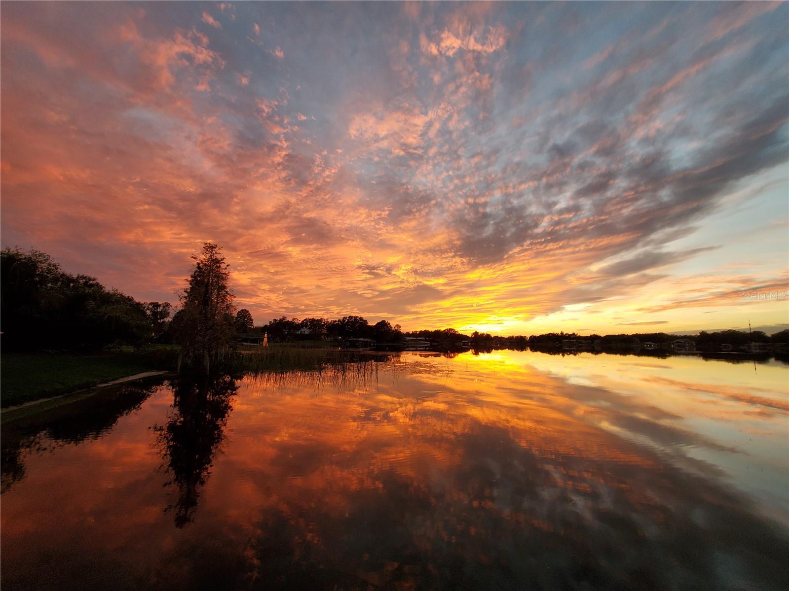 ELOISE WOODS LAKE ROY UNIT - Residential