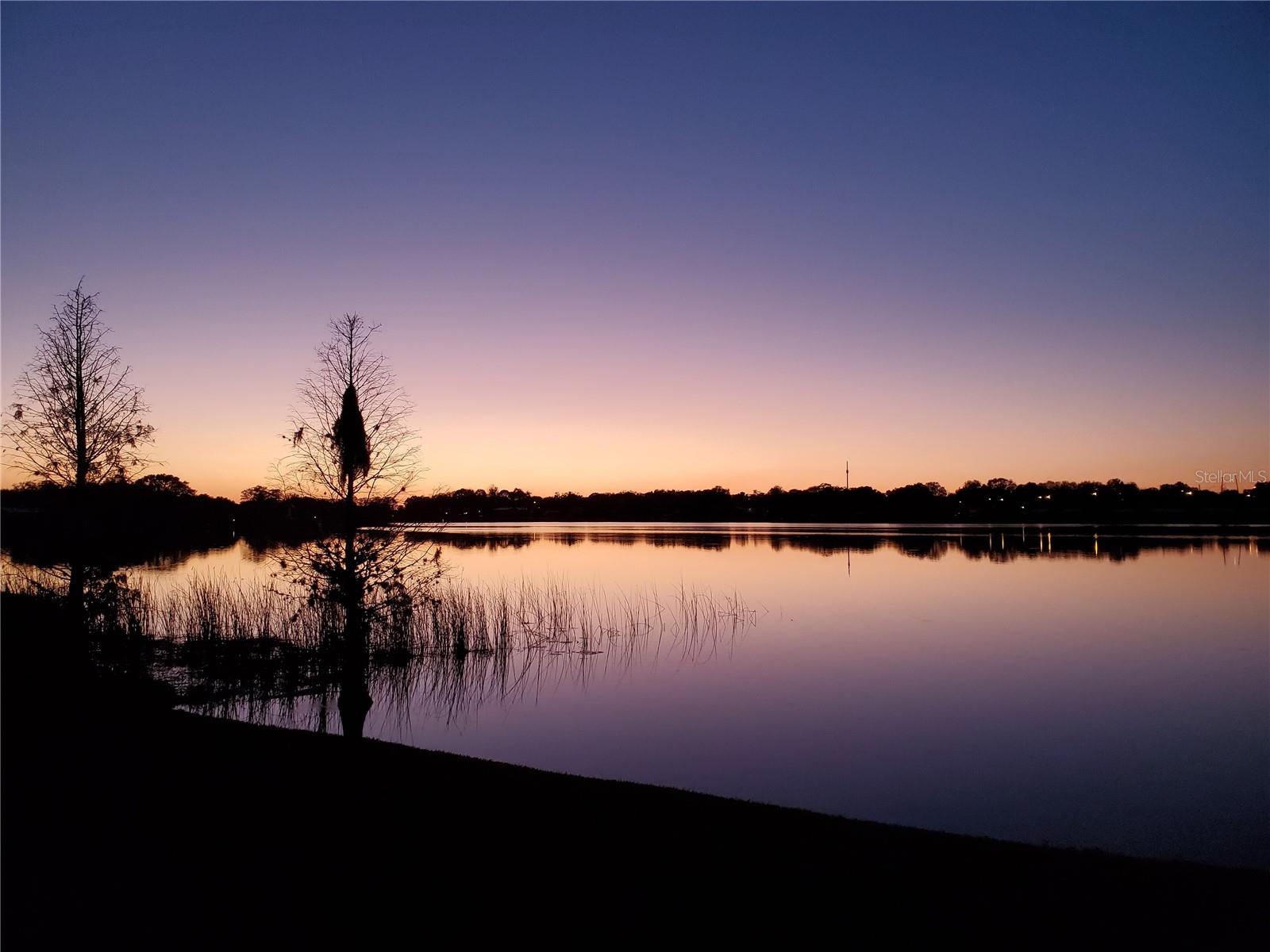 ELOISE WOODS LAKE ROY UNIT - Residential