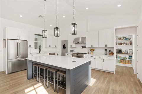 Tiny photo for 15224 NW 56th Court Road, Reddick, FL 32686 (MLS # O6347139)