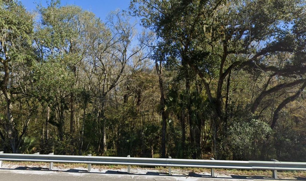 Photo of 2550 Paul S Buchman Highway, Zephyrhills, FL 33541 (MLS # A4695635)