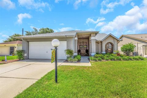 Photo of 10665 Fallen Leaf Lane, Port Richey, FL 34668 (MLS # W7887122)