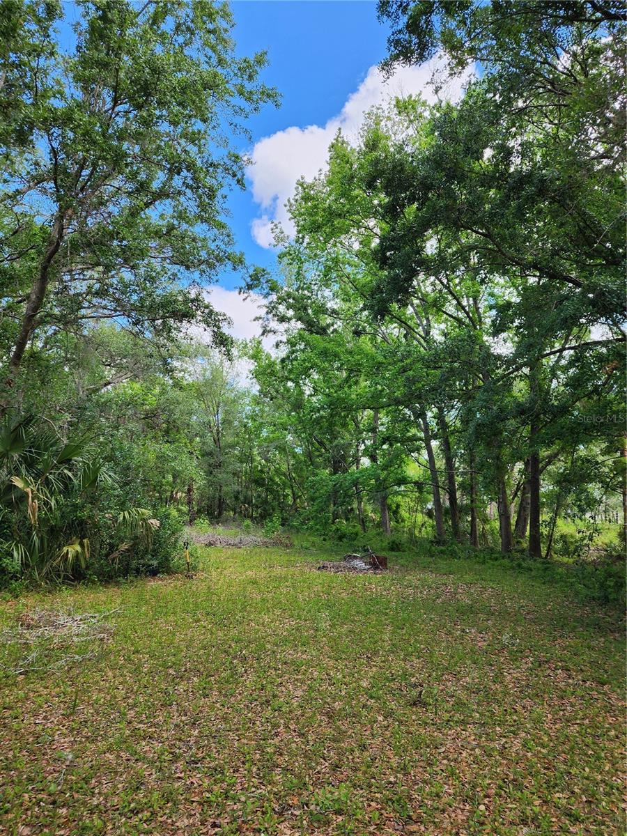 7375 W TURKEYNECK COURT