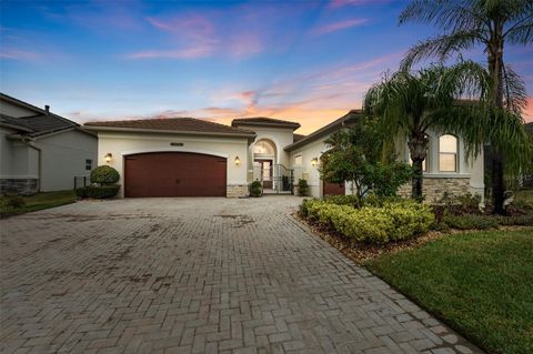Photo of 30715 Tumbleberry Street, Wesley Chapel, FL 33543 (MLS # TB8340685)