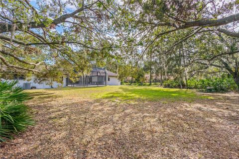 A home in SARASOTA