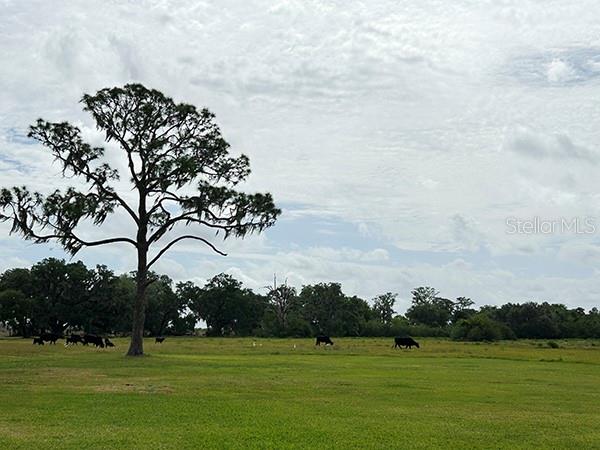 ACREAGE & UNREC - Residential