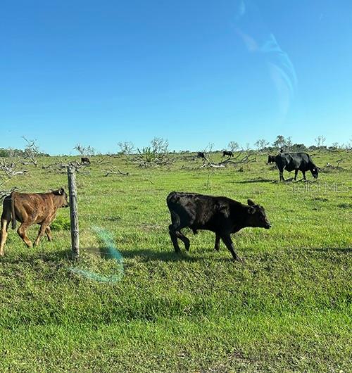 ACREAGE & UNREC - Residential