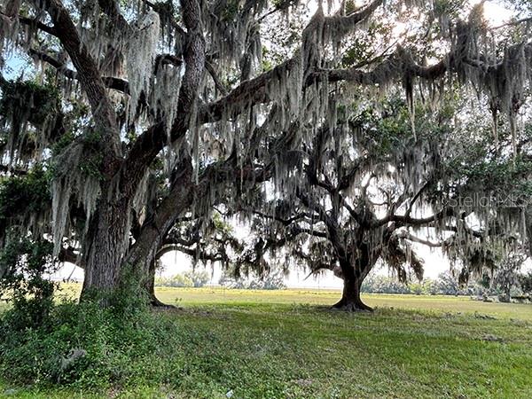 ACREAGE & UNREC - Residential