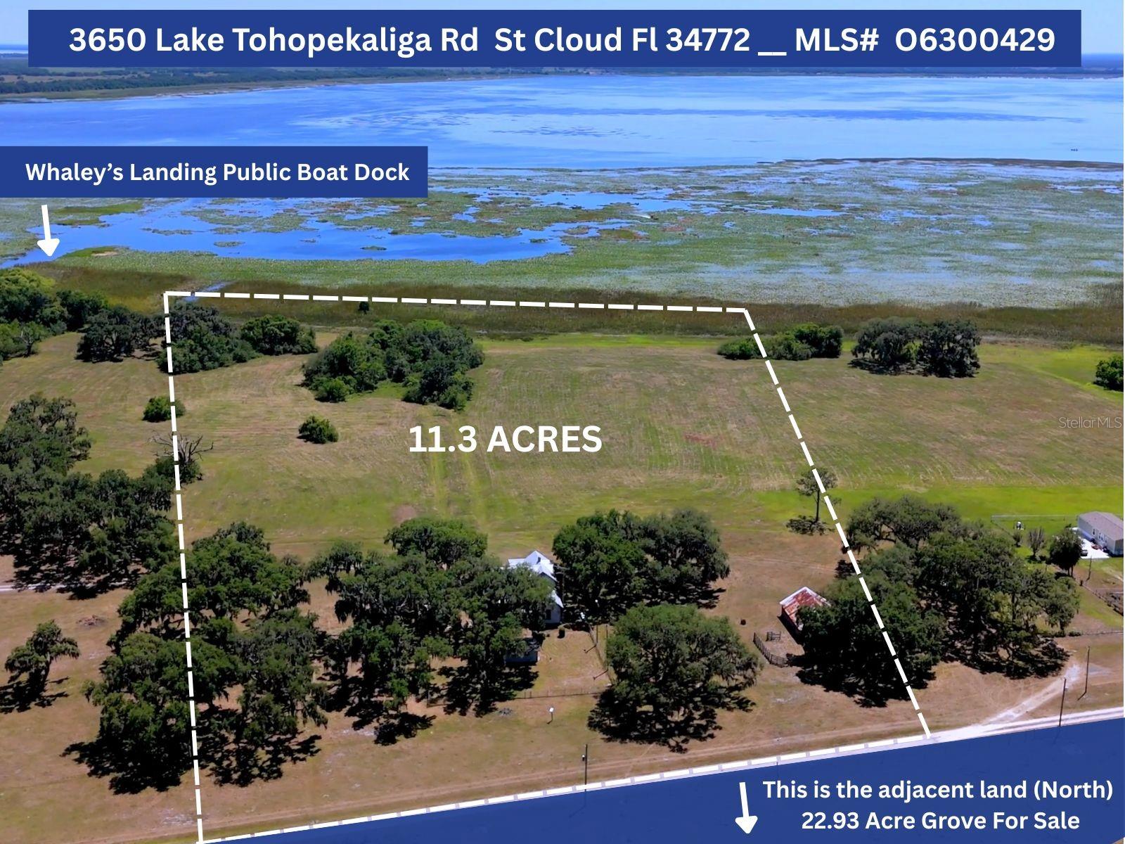 3650 LAKE TOHOPEKALIGA ROAD