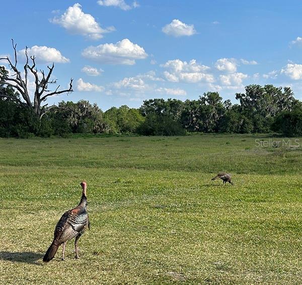 ACREAGE & UNREC - Residential