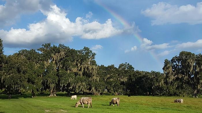 ACREAGE & UNREC - Residential