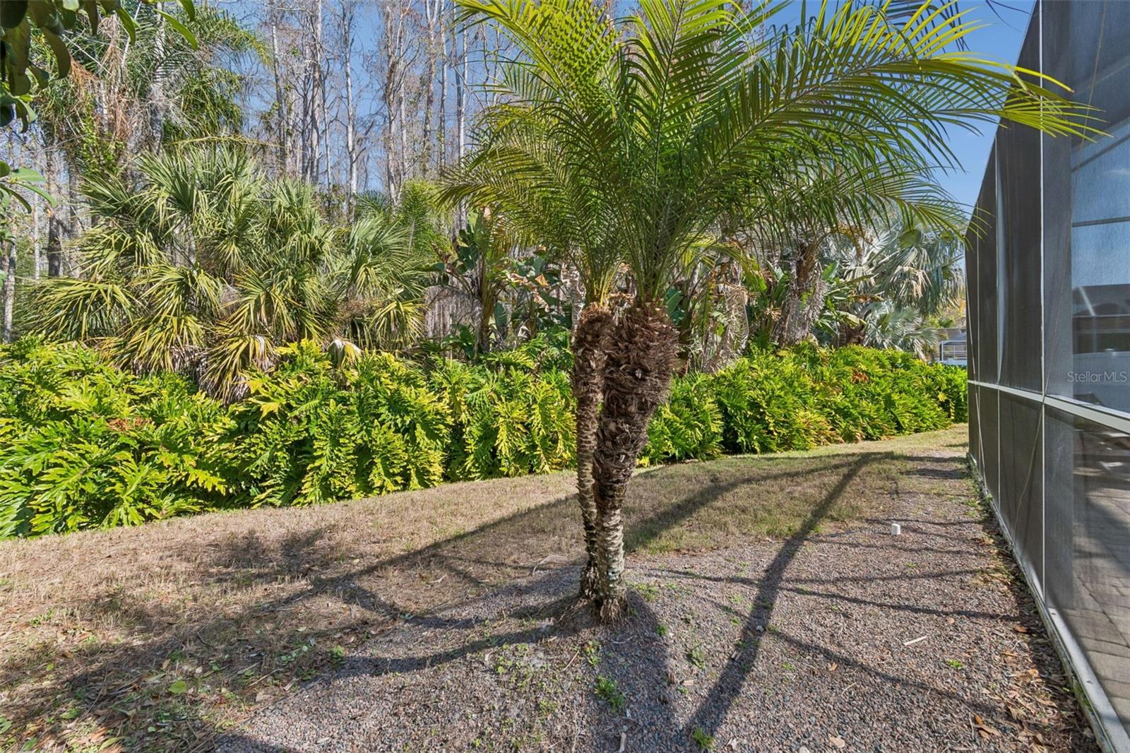 WYNDTREE PH 04 VILLAGE 06 - Residential