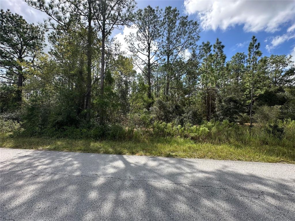 Photo of Tbd SW Audubon Avenue, Dunnellon, FL 34431 (MLS # OM711101)