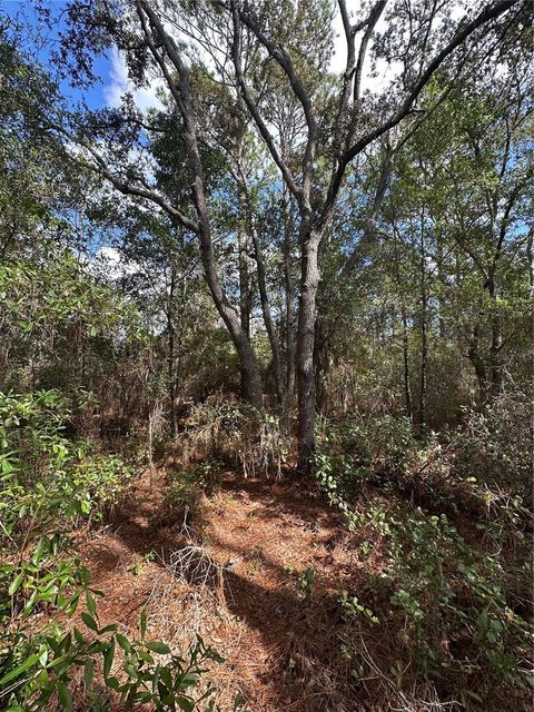 Tiny photo for Tbd SW Audubon Avenue, Dunnellon, FL 34431 (MLS # OM711101)