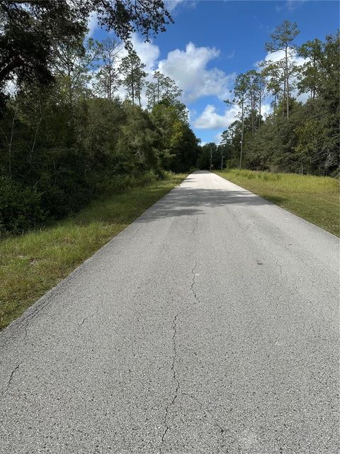 Tiny photo for Tbd SW Audubon Avenue, Dunnellon, FL 34431 (MLS # OM711101)
