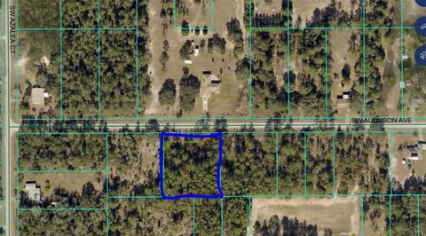 Tiny photo for Tbd SW Audubon Avenue, Dunnellon, FL 34431 (MLS # OM711101)