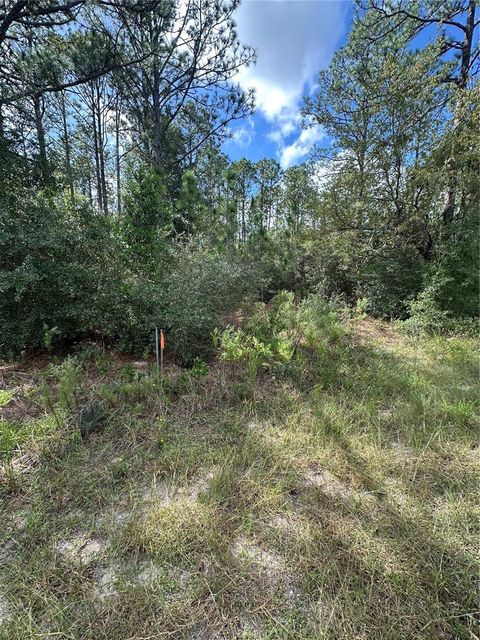 Tiny photo for Tbd SW Audubon Avenue, Dunnellon, FL 34431 (MLS # OM711101)