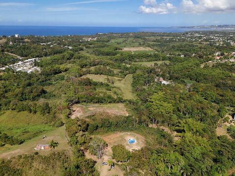 CARR 4414 BO GUAYABO AGUADA  00602