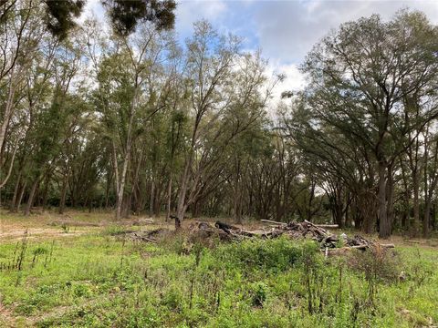 19411 N US 301 CITRA FL 32113