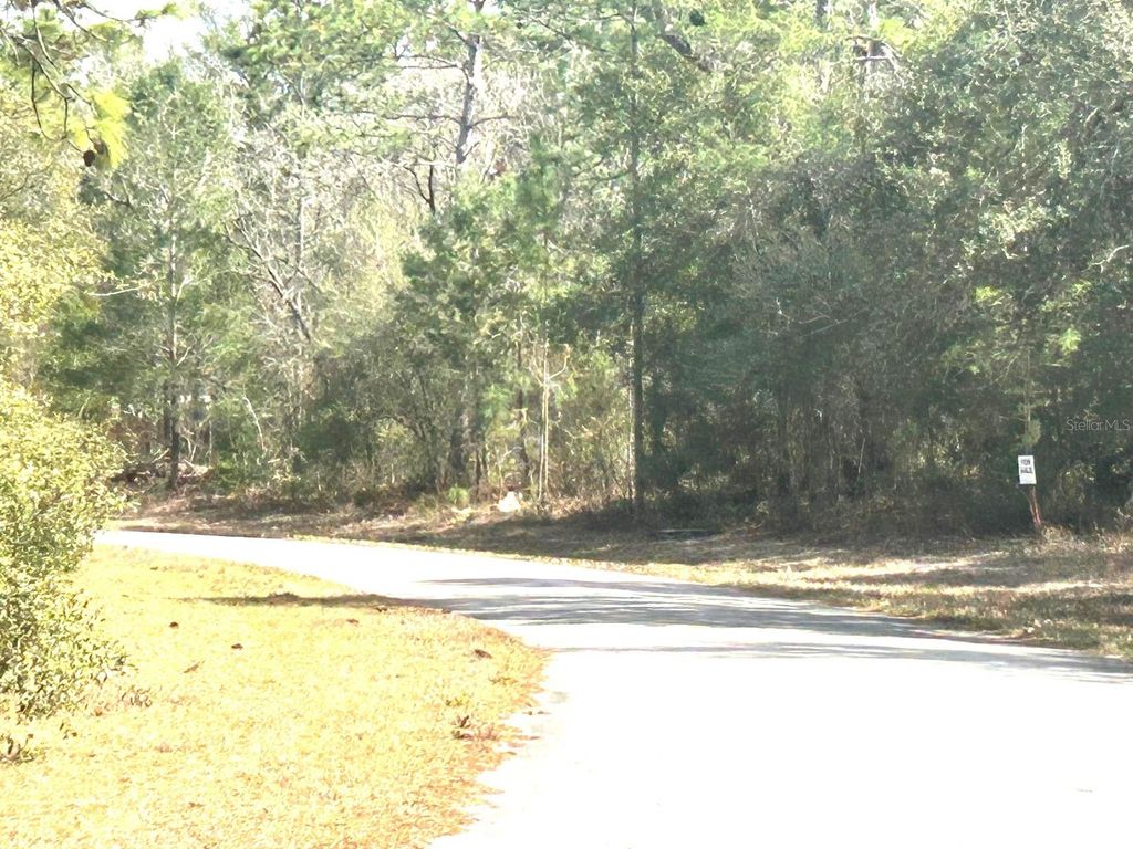Photo of 0 SW 163rd Street Road, Ocala, FL 34473 (MLS # OM718962)