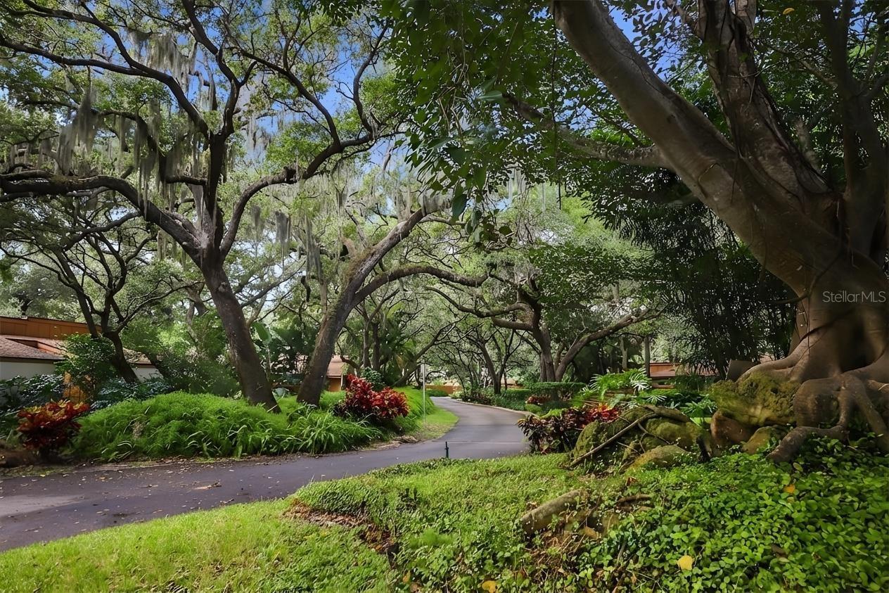 TANGLEWOOD PATIO HOMES REV - Residential