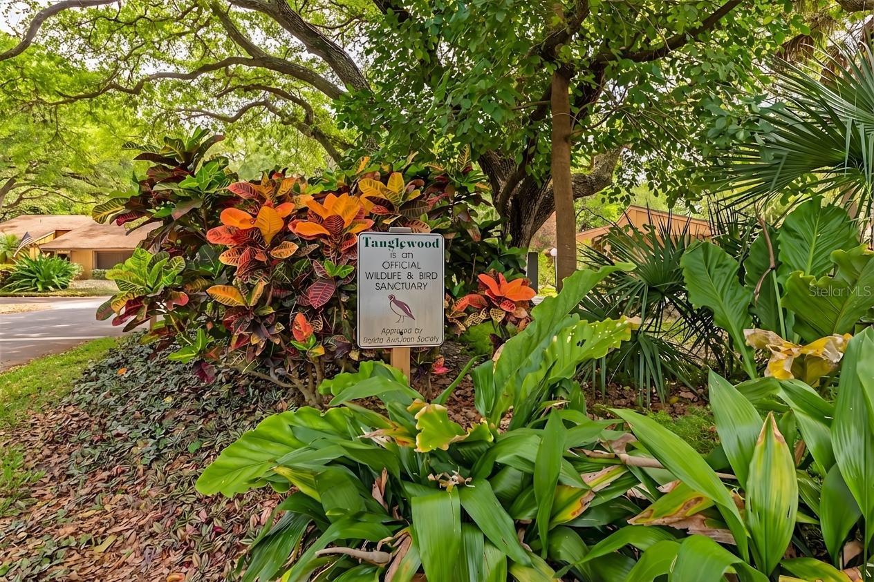 TANGLEWOOD PATIO HOMES REV - Residential