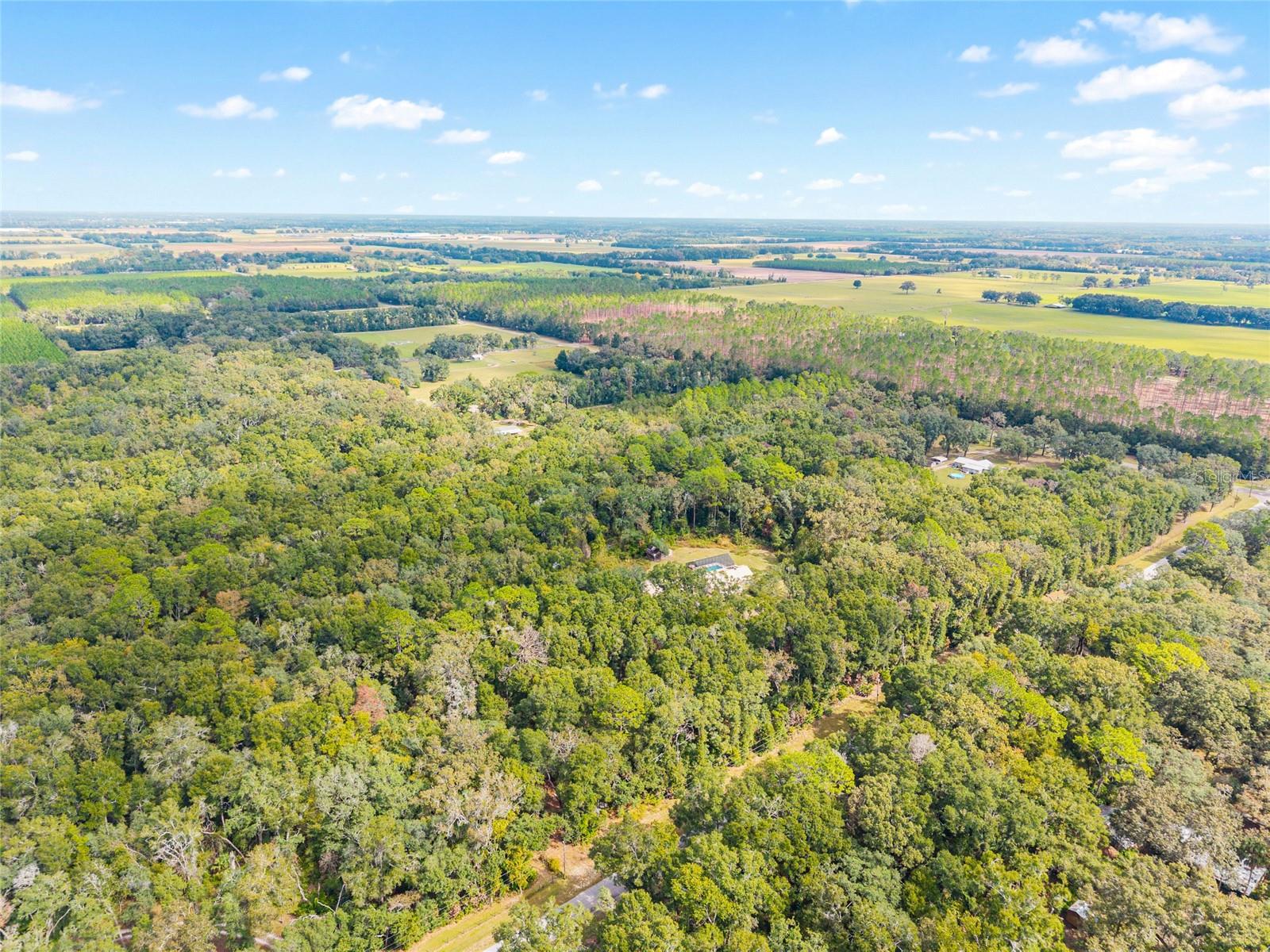RED OAK FOREST - Residential