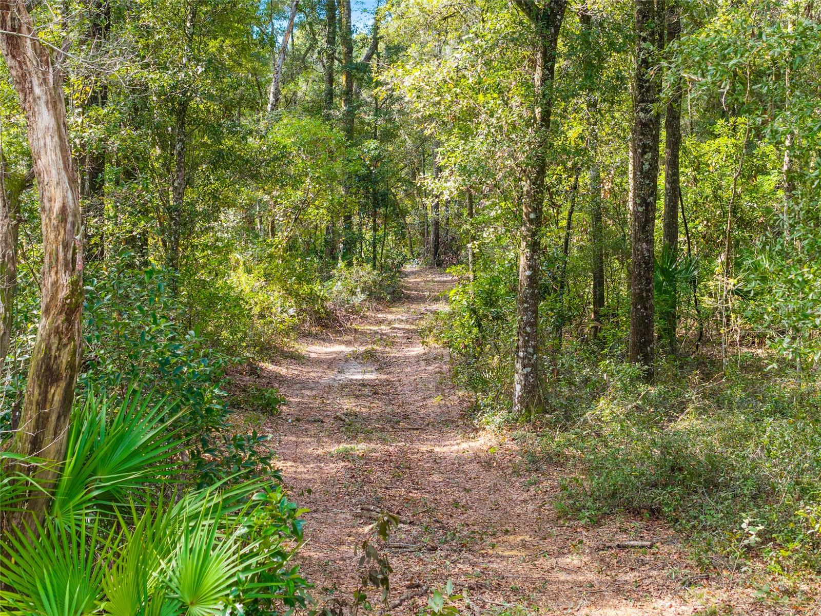 RED OAK FOREST - Residential