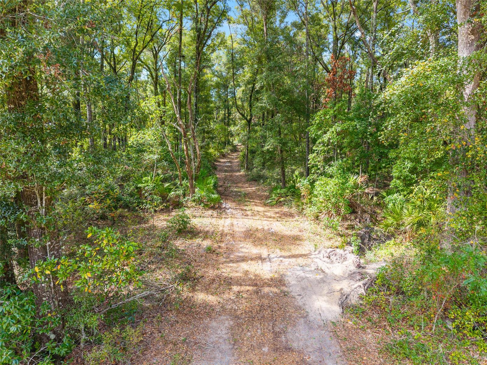 RED OAK FOREST - Residential