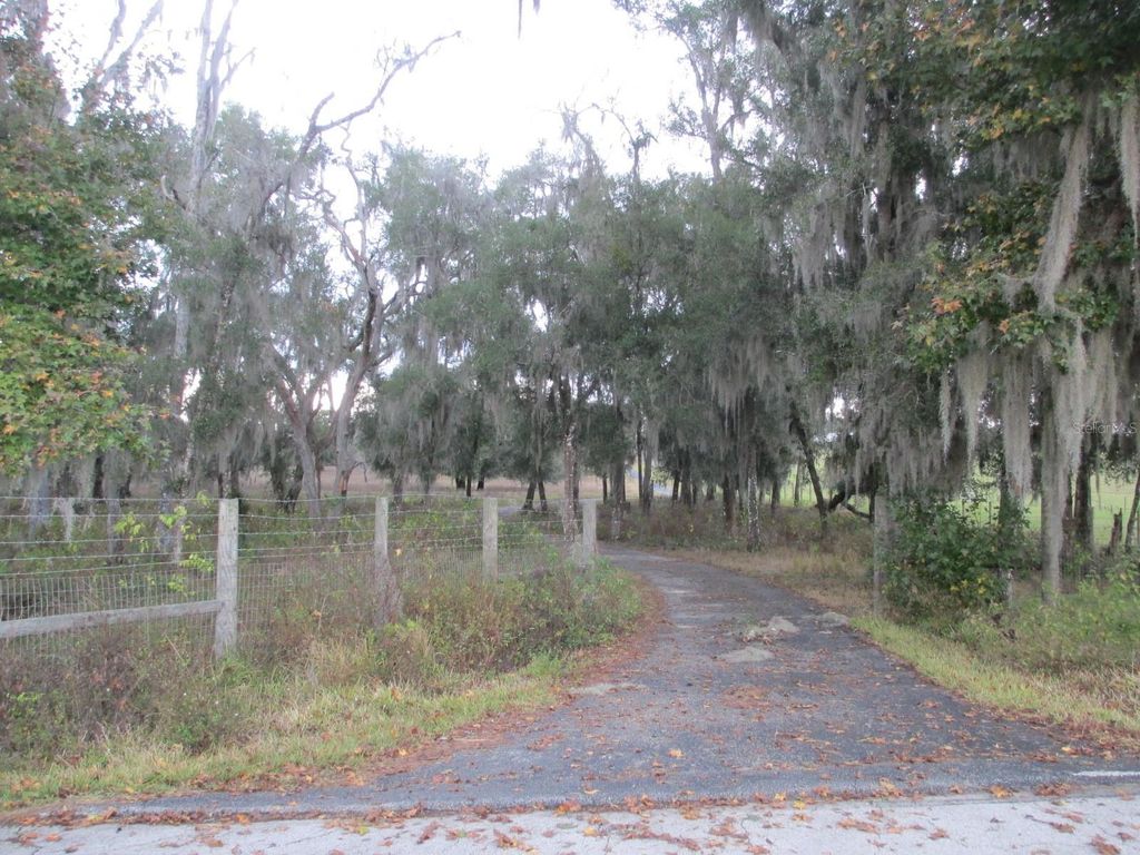 Photo of 9851 E Thomas Road, Floral City, FL 34436 (MLS # OM714829)