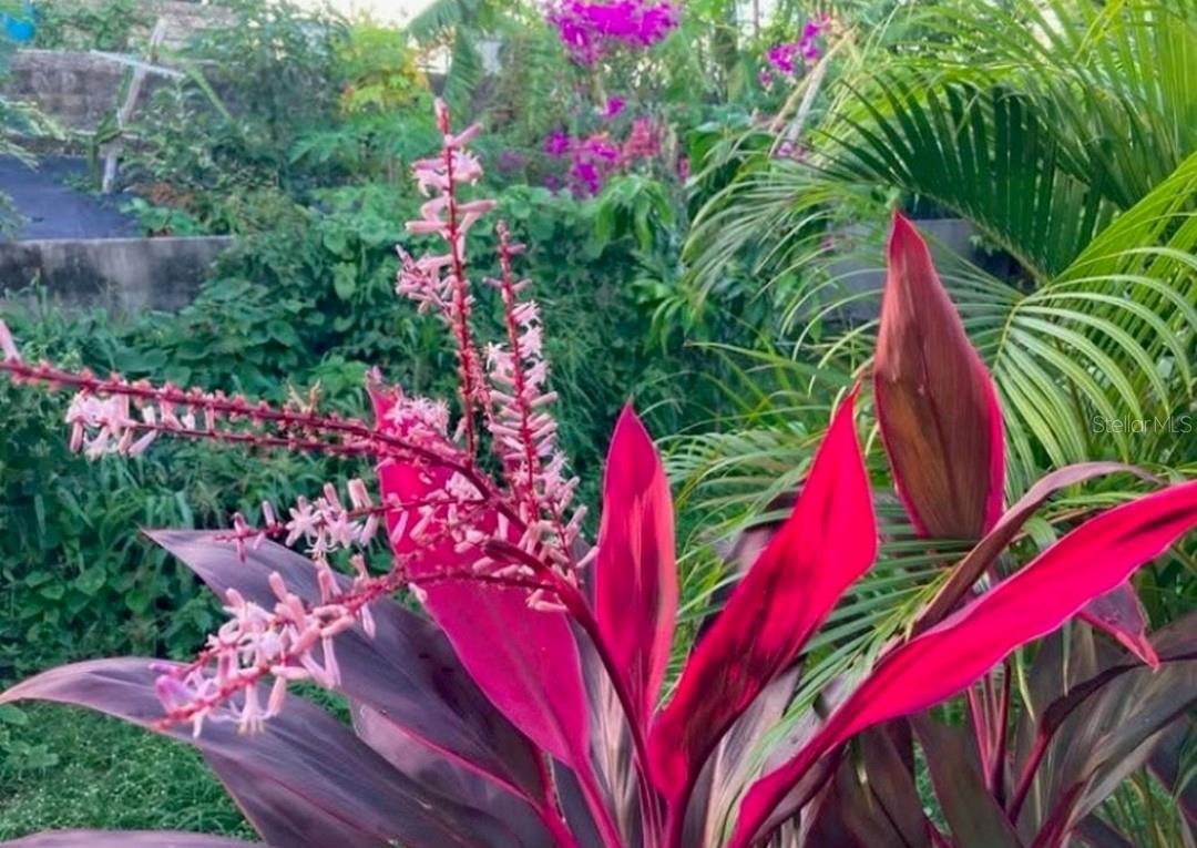 BRISAS DEL MAR - Residential