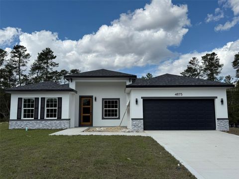 Photo of 4875 SW 159th Lane Road, Ocala, FL 34473 (MLS # O6284384)