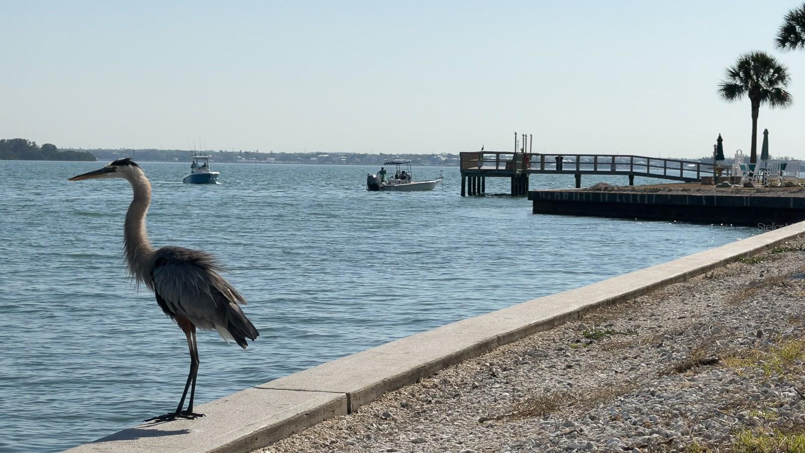 ROYAL STEWART ARMS - Residential