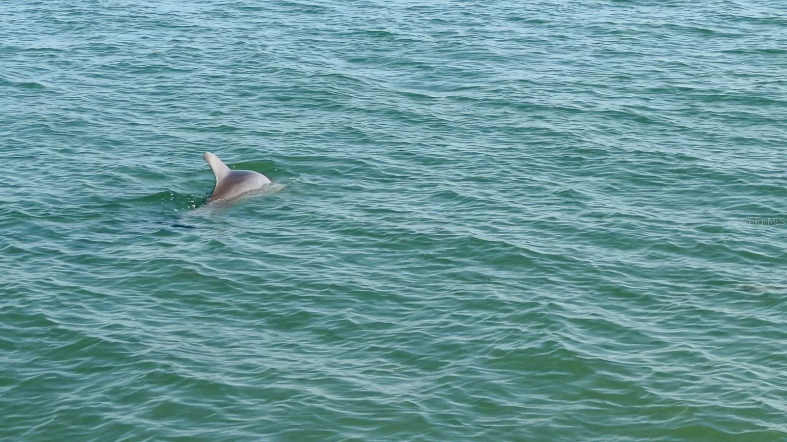 ROYAL STEWART ARMS - Residential