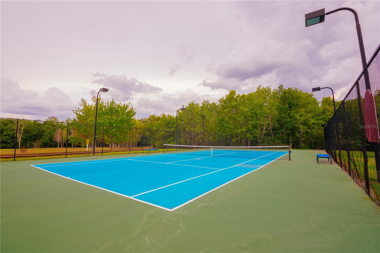 VILLAS AT SEVEN DWARFS LANE THE; A CONDO - Residential Lease