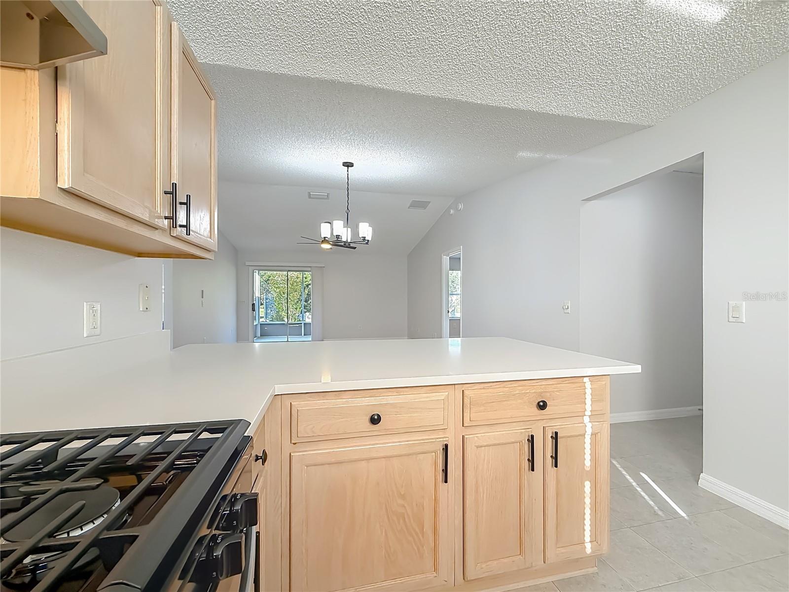 VILLAGES OF SUMTER - Residential