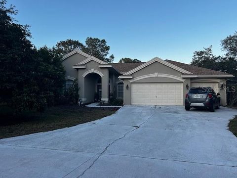 Photo of 1 Graytwig Court W, Homosassa, FL 34446 (MLS # A4670202)