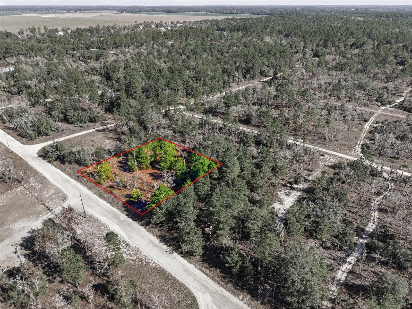 WILLISTON HYLNDS GOLF & C CLUB ESTATE - Land