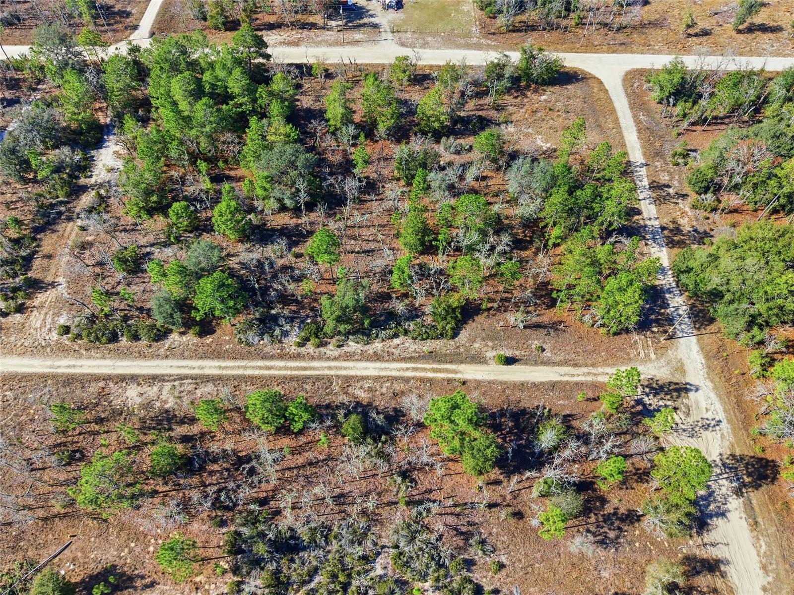 WILLISTON HYLNDS GOLF & C CLUB ESTATE - Land