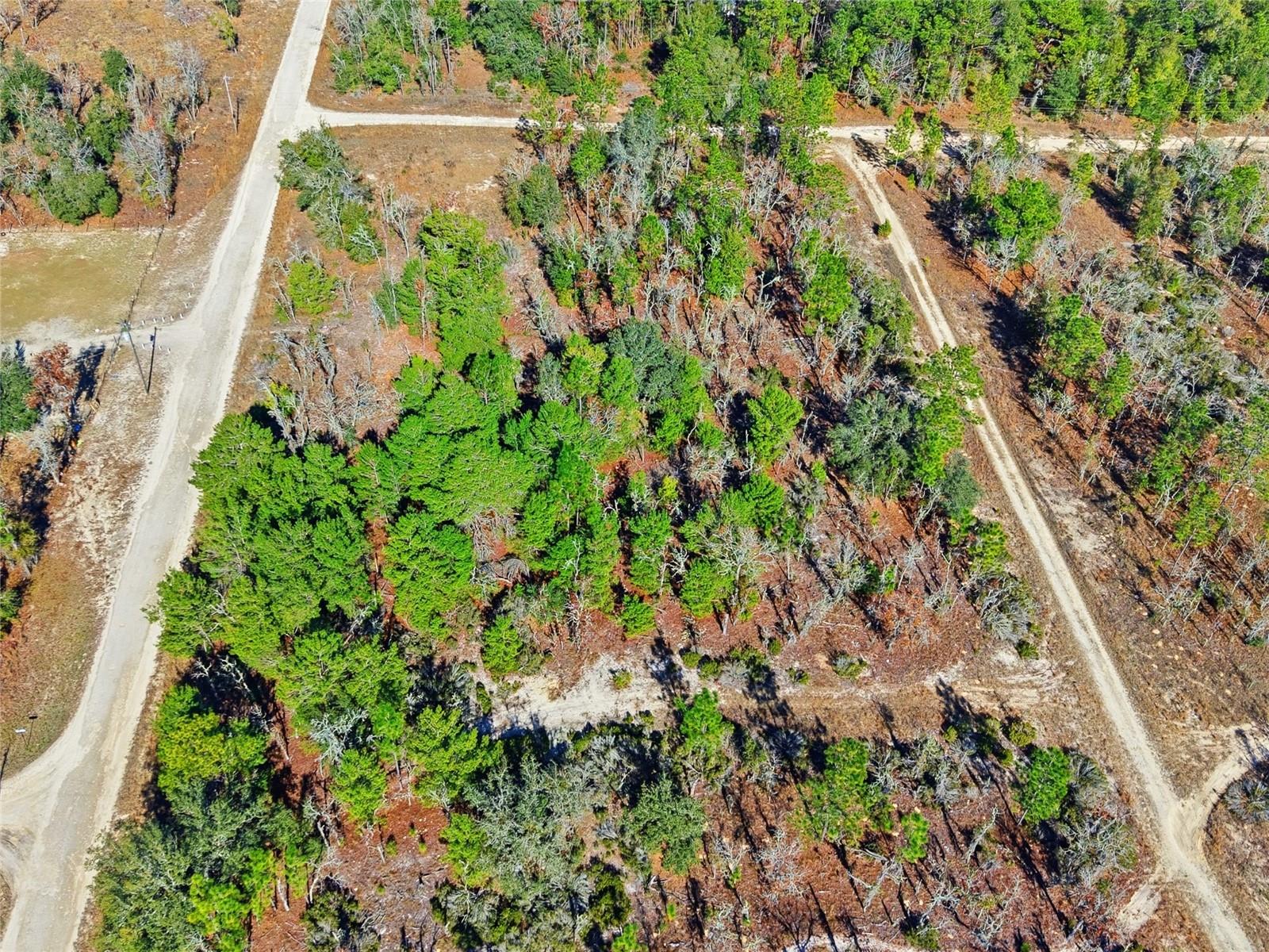 WILLISTON HYLNDS GOLF & C CLUB ESTATE - Land