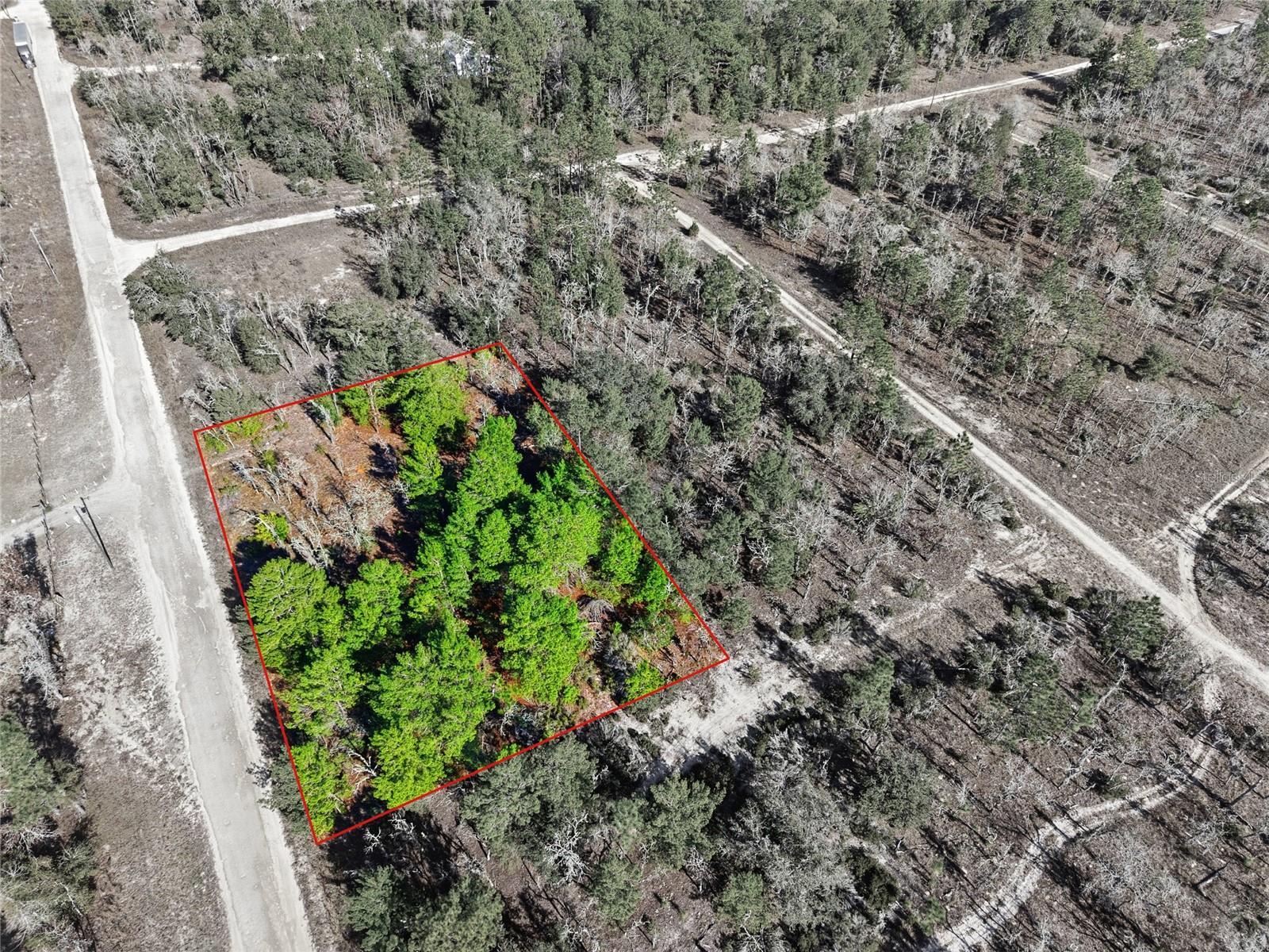 WILLISTON HYLNDS GOLF & C CLUB ESTATE - Land