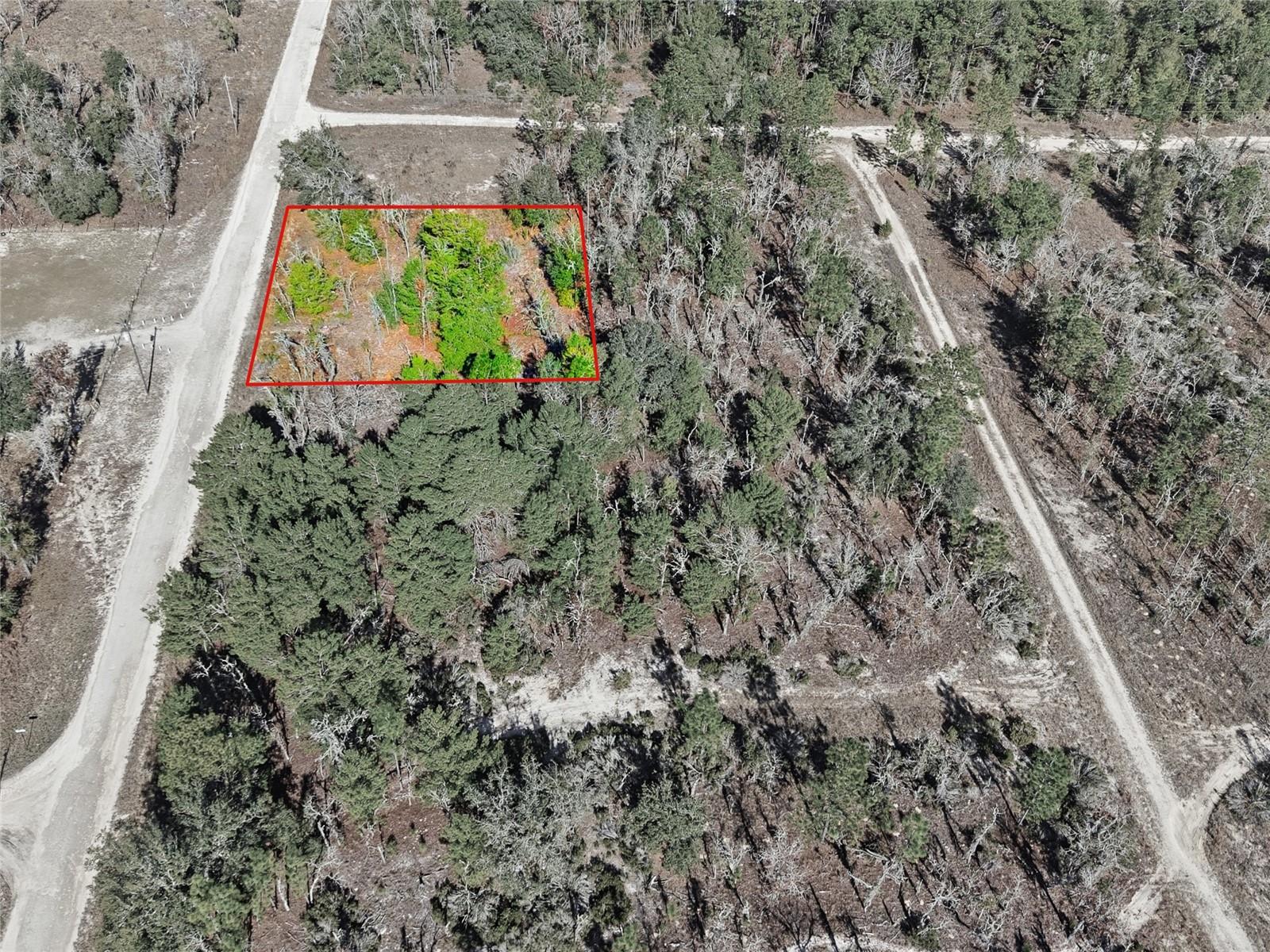 WILLISTON HYLNDS GOLF & C CLUB ESTATE - Land