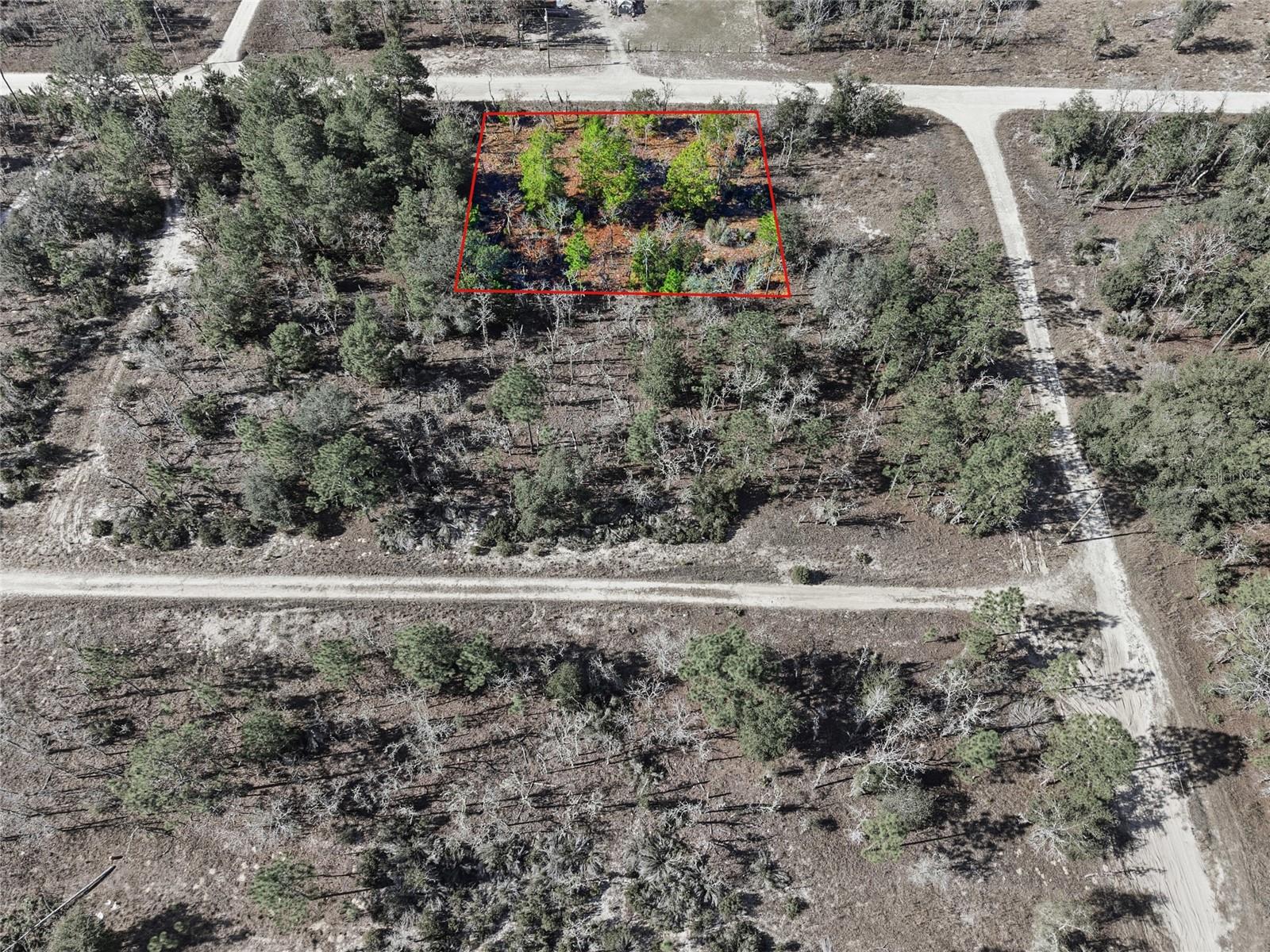 WILLISTON HYLNDS GOLF & C CLUB ESTATE - Land