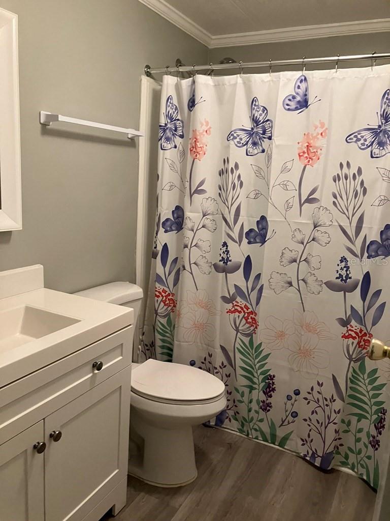 TAVARES LAKE FRANCES ESTATES - Residential