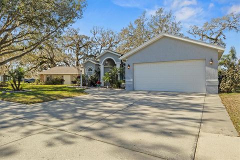 A home in ZEPHYRHILLS