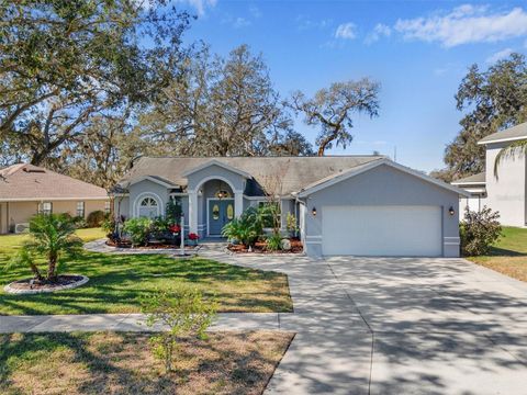 A home in ZEPHYRHILLS